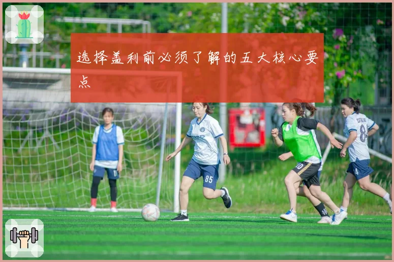 选择盖利前必须了解的五大核心要点