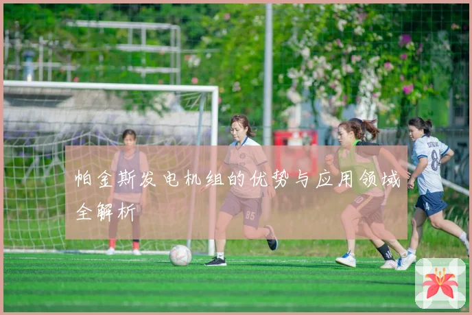 帕金斯发电机组的优势与应用领域全解析